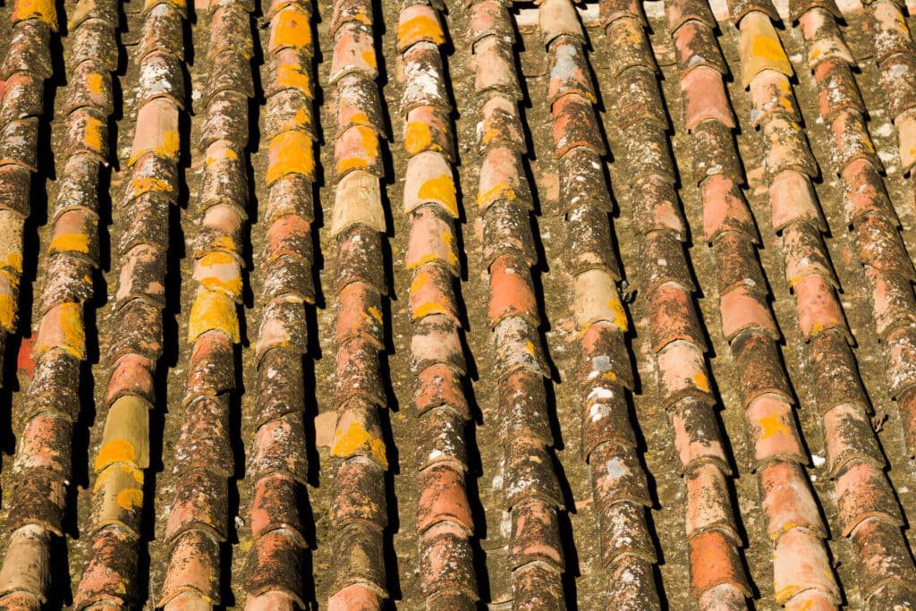 Tejado antiguo con tejas desgastadas y musgo en Reus – rehabilitación y reparación