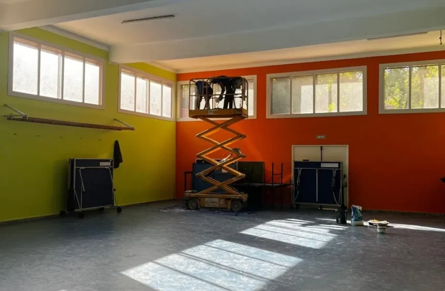 Trabajos en altura con plataforma elevadora en Riudoms (detalle 3) – LUCMAR